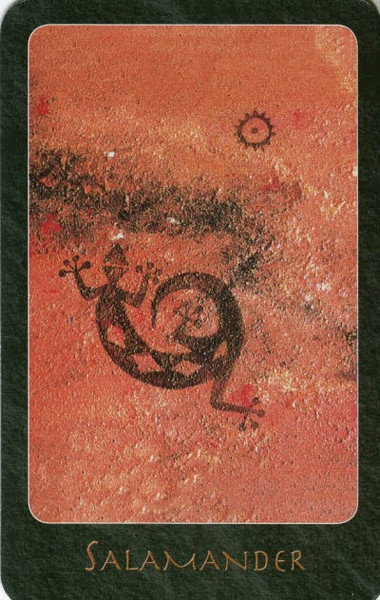 Изображение товара Гадальные карты AGM Urania Shaman Oracle / 1067030780