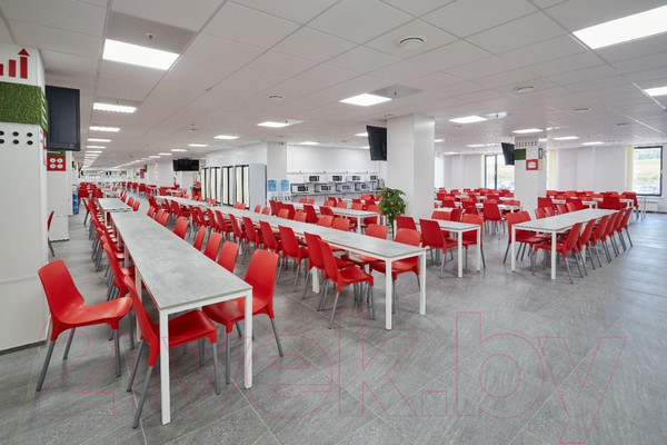 Изображение товара Стул Sheffilton SHT-S75-1 (красный/хром лак)