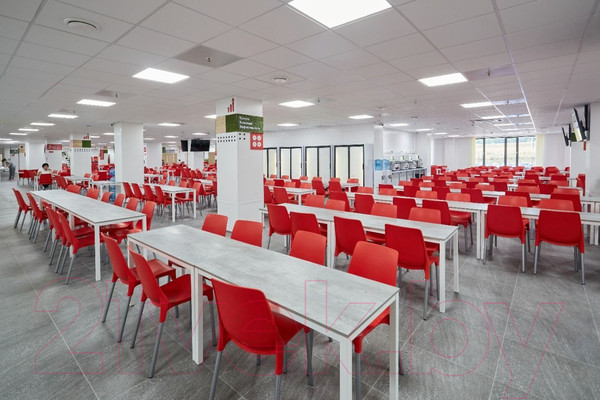 Изображение товара Стул Sheffilton SHT-S75-1 (красный/хром лак)