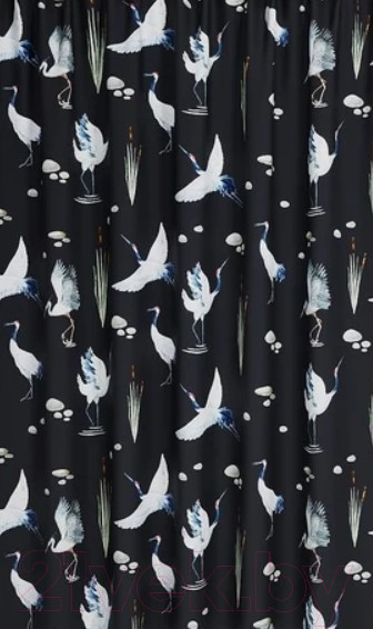 Изображение товара Шторка-занавеска для ванны IDDIS BP01P18i11