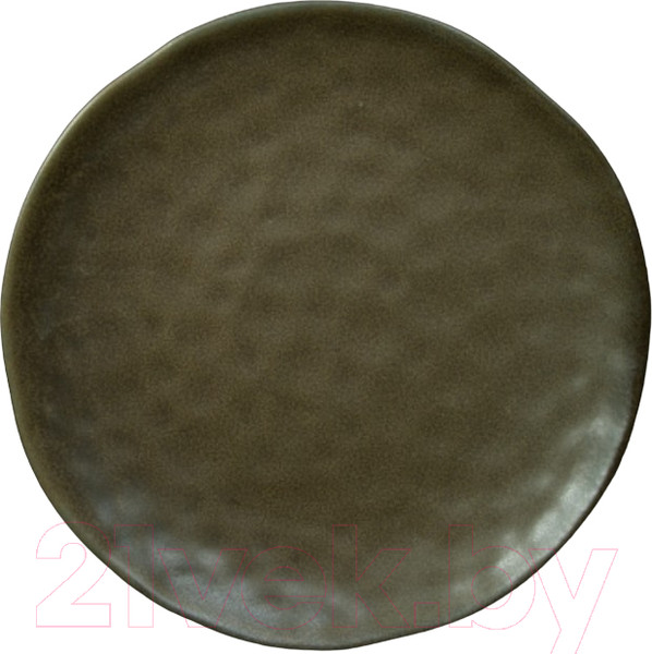 Изображение товара Тарелка столовая обеденная Corone Sacramento HS169590 / фк9104 (серо-зеленый)