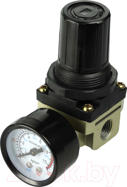 Изображение товара Регулятор давления Skiper AR01 