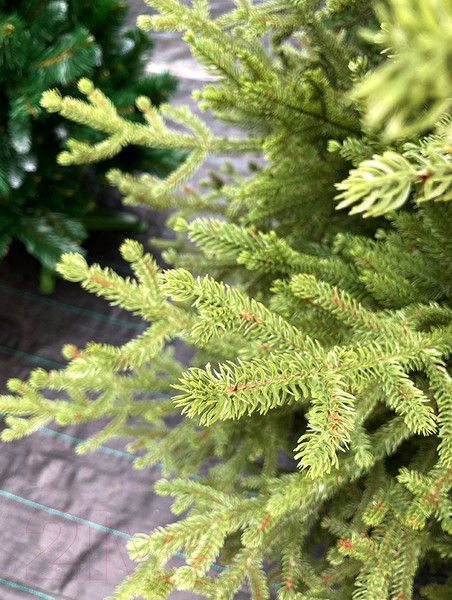 Изображение товара Ель искусственная GreenTerra Вилтони (1.5м)