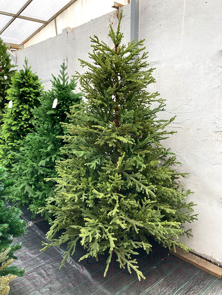 Изображение товара Ель искусственная GreenTerra Вилтони (1.5м)