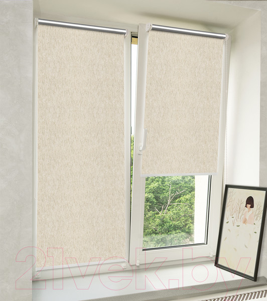 Изображение товара Рулонная штора Delfa Сантайм Натур Термо-Блэкаут СРШ-01МП 78305 (48x170, натур)