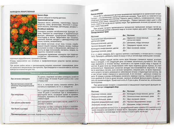 Изображение товара Книга Альтиора Аптечка природы / 9789857239870 (Шмерко Е., Тышкевич Н.)