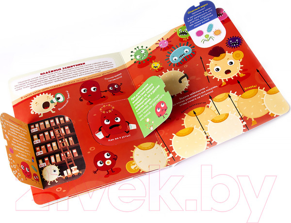 Изображение товара Развивающая книга Malamalama Умные окошки. Иммунитет.