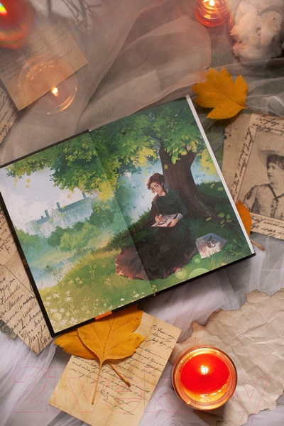 Изображение товара Книга МИФ Джейн Эйр / 9785002140084 (Бронте Ш.)