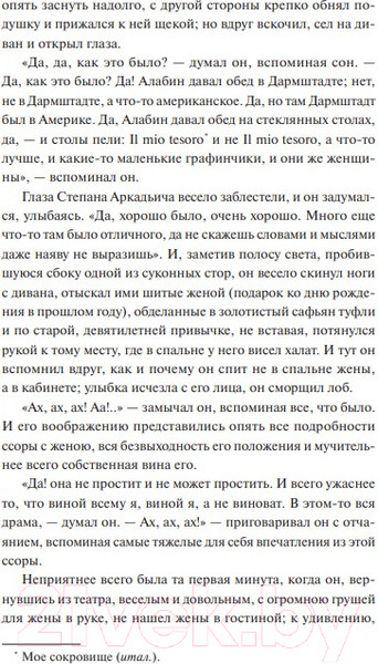 Изображение товара Книга МИФ Анна Каренина / 9785002141722 (Толстой Л.)