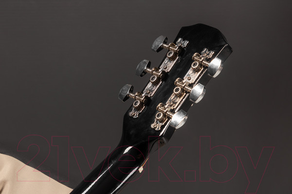 Изображение товара Акустическая гитара ROKSO FT-D38-BK