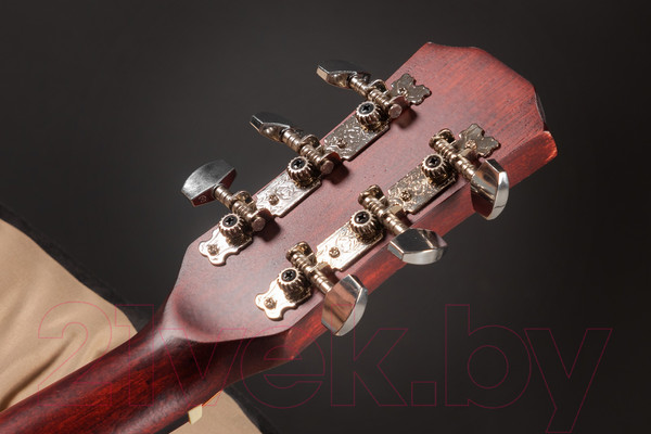 Изображение товара Акустическая гитара ROKSO FT-221-3TS