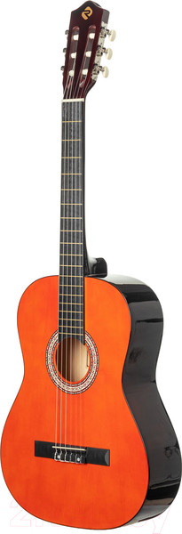 Изображение товара Акустическая гитара ROKSO FT-C-B39-Orange