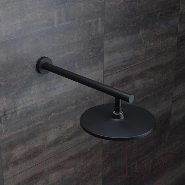 Изображение товара Душевой кронштейн IDDIS Optima Home OPH40BRi61