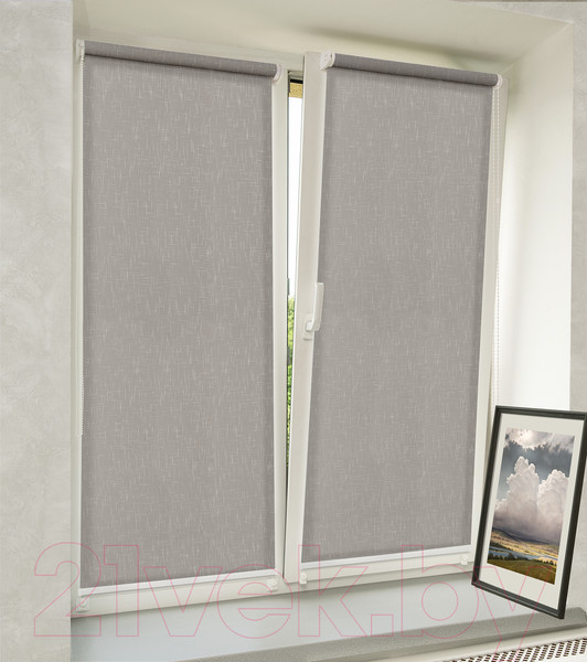 Изображение товара Рулонная штора Delfa Сантайм Премиум Гала СРШ-01МП 3475 (95x170, серый)