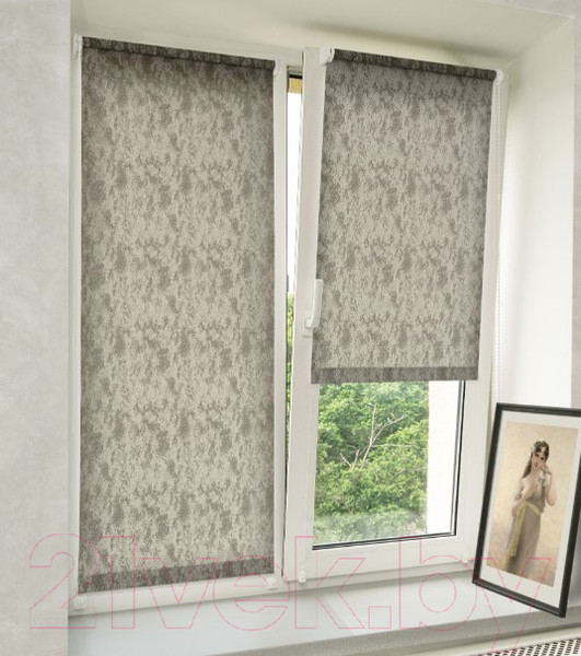 Изображение товара Рулонная штора Delfa Сантайм Марс СРШ-01 МД 27015 (81x170, темно-серый)