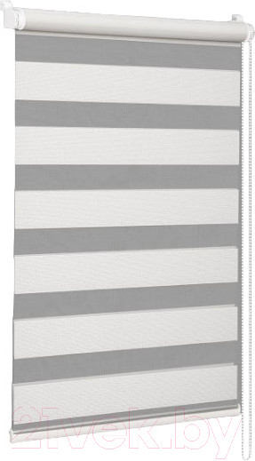 Изображение товара Рулонная штора Delfa Сантайм День&Ночь Best СРШ-01МК 41171 (73x160, белый)