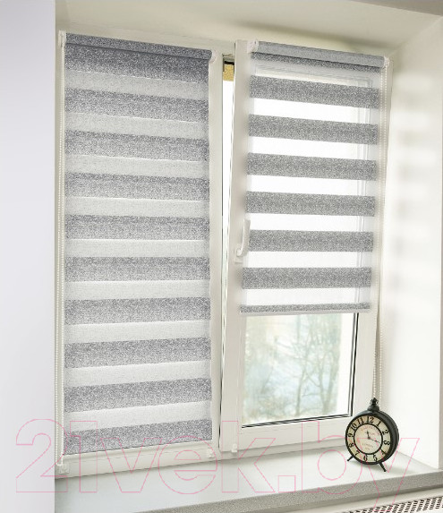 Изображение товара Рулонная штора Delfa Сантайм День&Ночь Best СРШ-01МК 41174 (57x160, белый/серый)