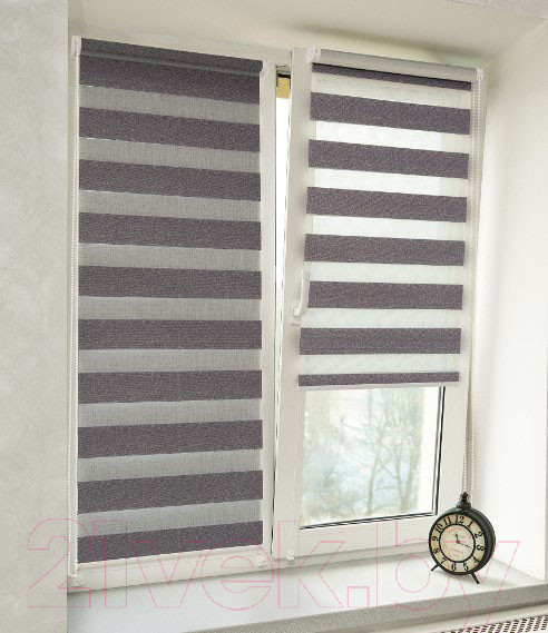 Изображение товара Рулонная штора Delfa Сантайм День&Ночь Best СРШ-01МК 41175 (52x160, темно-серый)