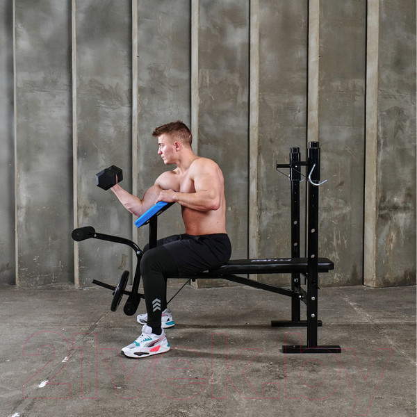 Изображение товара Скамья для жима штанги DFC BEW04X