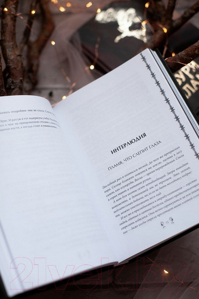 Изображение товара Книга МИФ Буря и пламя / 9785002141692 (Хо Э.)