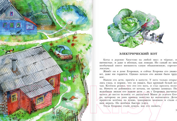 Изображение товара Книга АСТ Кот в ведре. Рассказы о животных / 9785171518103 (Востоков С.В.)