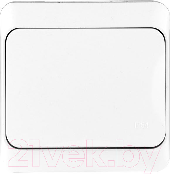 Изображение товара Выключатель Tokov Electric TKE-NX-V1-C01-IP54