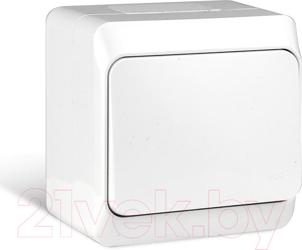 Изображение товара Выключатель Tokov Electric TKE-NX-V1-C01-IP54