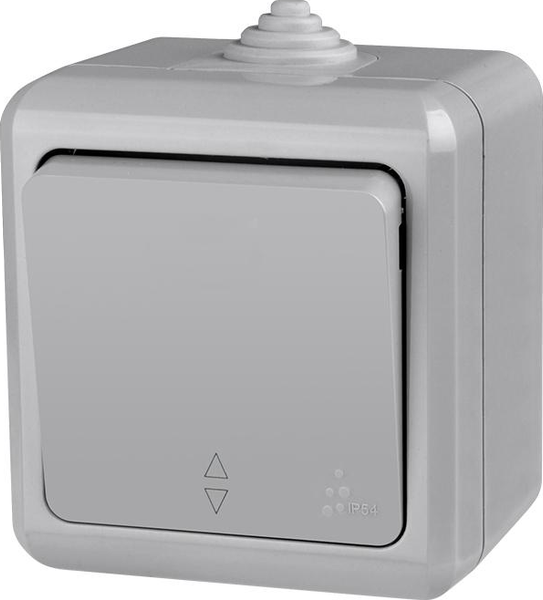 Изображение товара Выключатель Tokov Electric TKL-DT-P1-C06-IP54