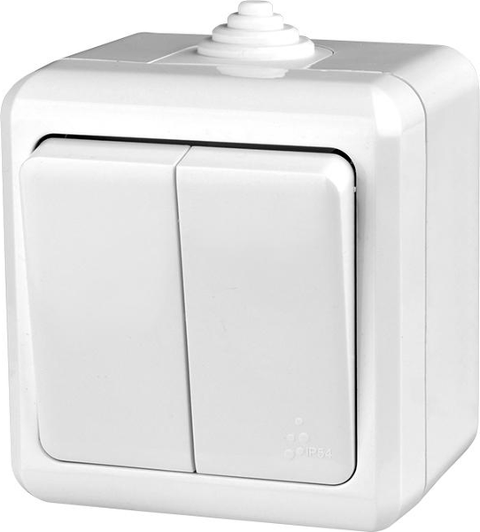 Изображение товара Выключатель Tokov Electric TKL-DT-V2-C01-IP54