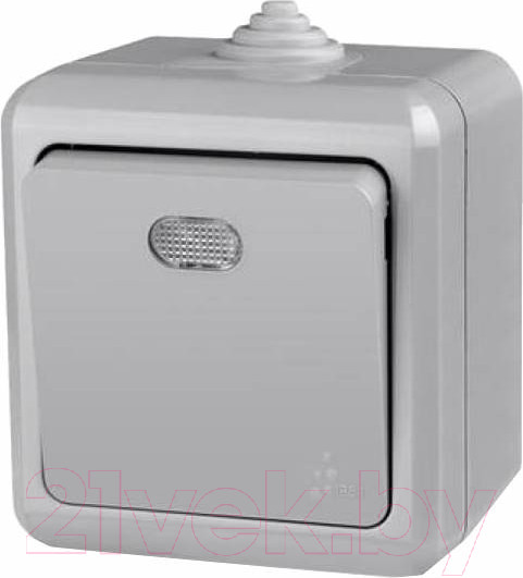 Изображение товара Выключатель Tokov Electric TKL-DT-V1I-C06-IP54