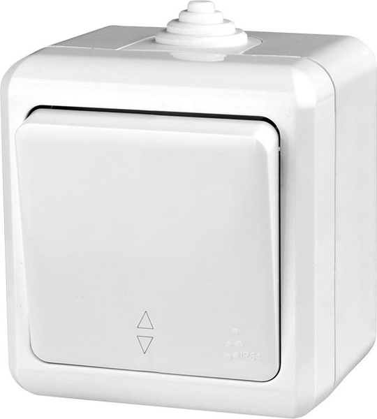 Изображение товара Выключатель Tokov Electric TKL-DT-P1-C01-IP54