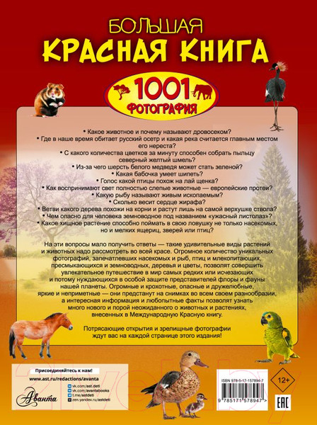 Изображение товара Энциклопедия АСТ Большая красная книга. 1001 фотография / 9785171578947 (Спектор А.А.)