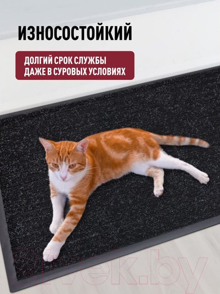 Изображение товара Коврик грязезащитный ComeForte Floor Mat Стандарт 80x120 (черный)