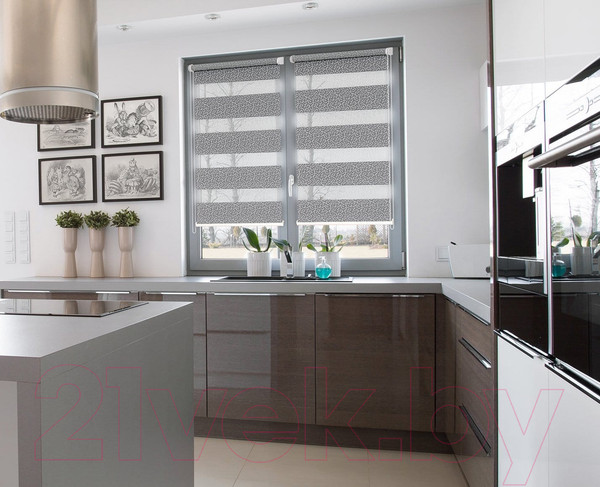 Изображение товара Рулонная штора Delfa Сантайм День-Ночь Декор МКД DN-45020 (68x160, белый/серебристый)