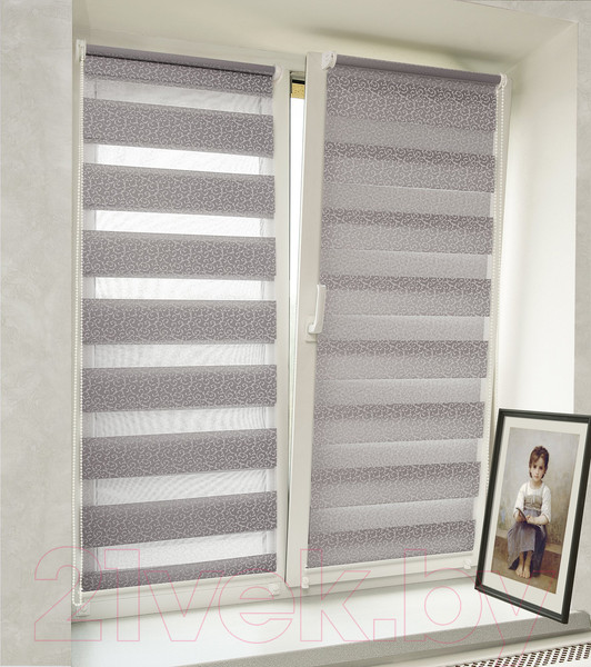 Изображение товара Рулонная штора Delfa Сантайм День-Ночь Декор МКД DN-45020 (81x160, белый/серебристый)