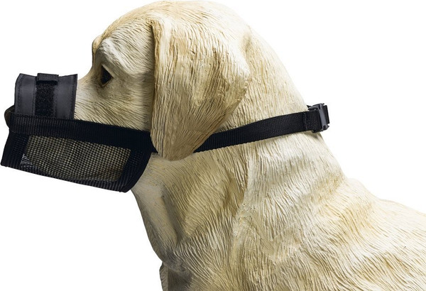 Изображение товара Намордник для собак Beeztees 765420 (S)