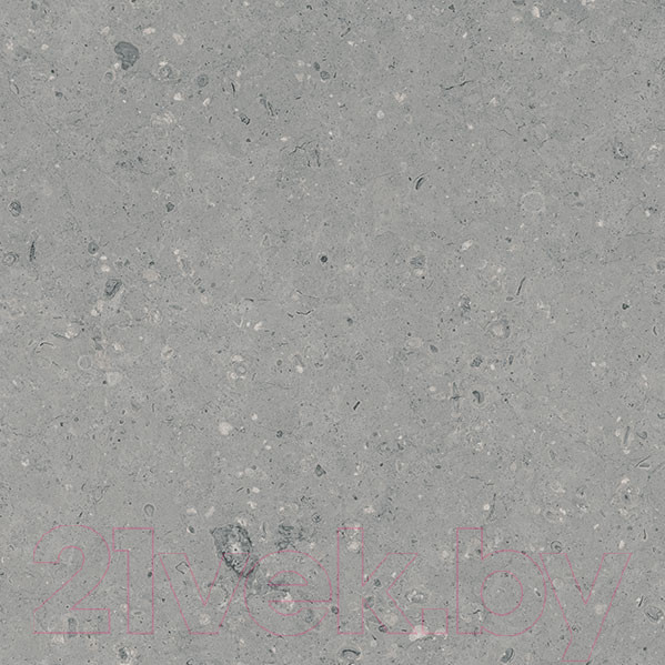 Изображение товара Плитка Гранитея Аркаим серый MR (600x600)