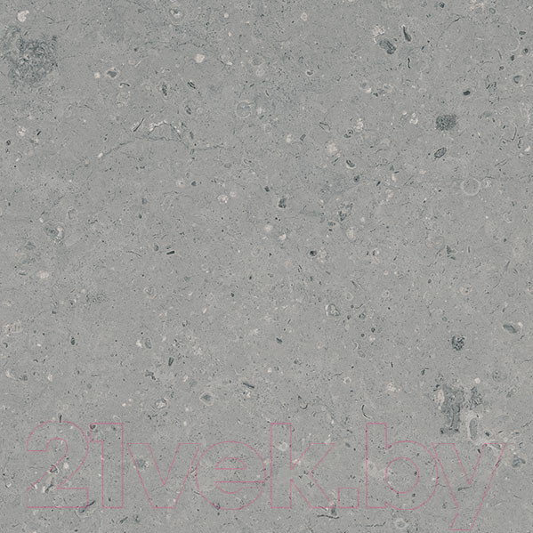 Изображение товара Плитка Гранитея Аркаим серый MR (600x600)