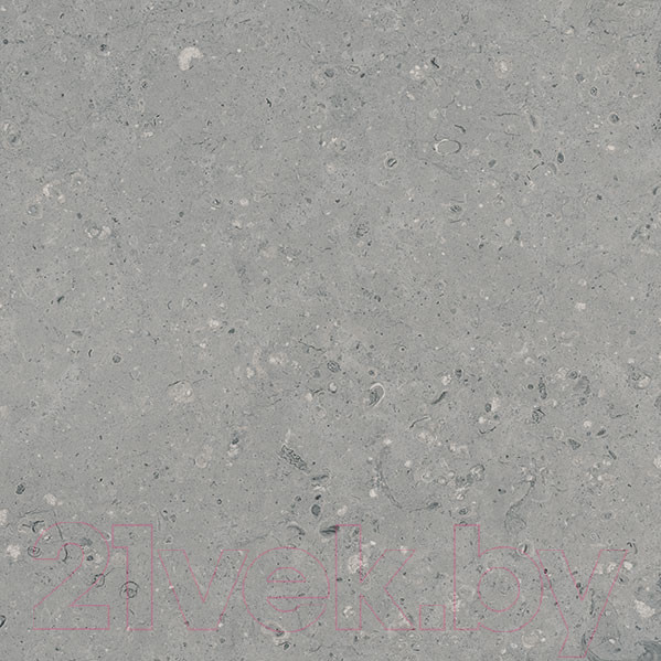 Изображение товара Плитка Гранитея Аркаим серый MR (600x600)