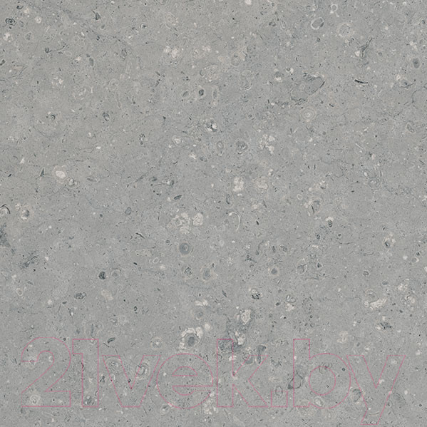 Изображение товара Плитка Гранитея Аркаим серый MR (600x600)