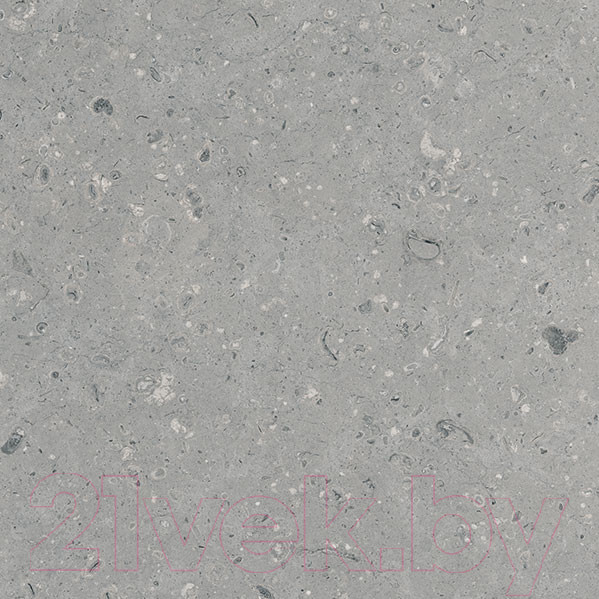 Изображение товара Плитка Гранитея Аркаим серый MR (600x600)