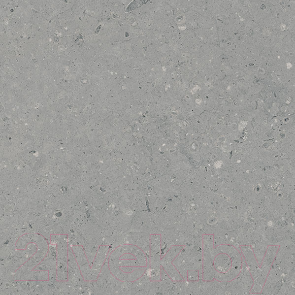 Изображение товара Плитка Гранитея Аркаим серый MR (600x600)