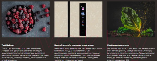 Изображение товара Холодильник с морозильником Hiberg RFQ-600DX NFYm Inverter