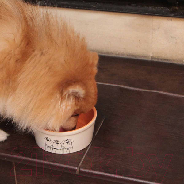 Изображение товара Миска для животных Chill Choll Песики 2КУМ80030