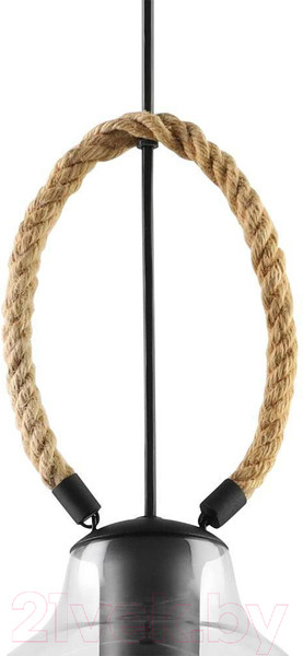 Изображение товара Потолочный светильник Eglo Roding 43617