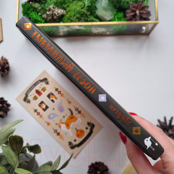 Изображение товара Книга Эксмо Тыквенный сезон.Рецепты чародейки Пам для уютных осенних вечеров