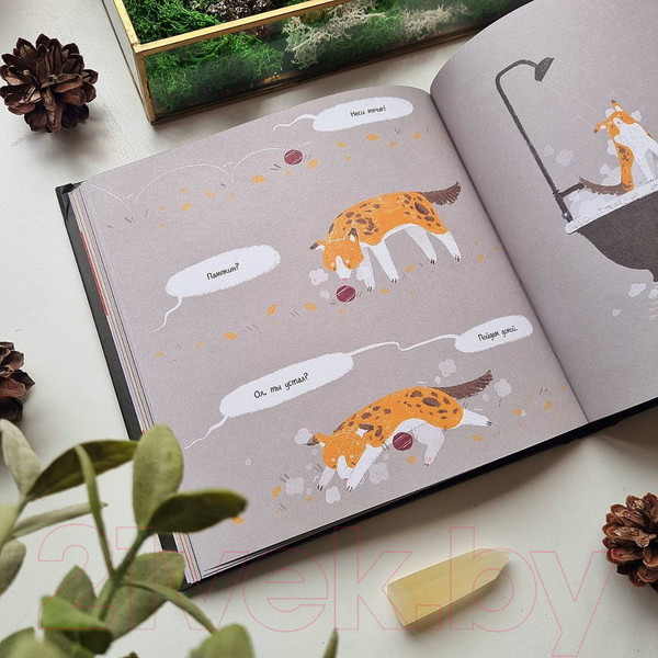 Изображение товара Книга Эксмо Тыквенный сезон.Рецепты чародейки Пам для уютных осенних вечеров