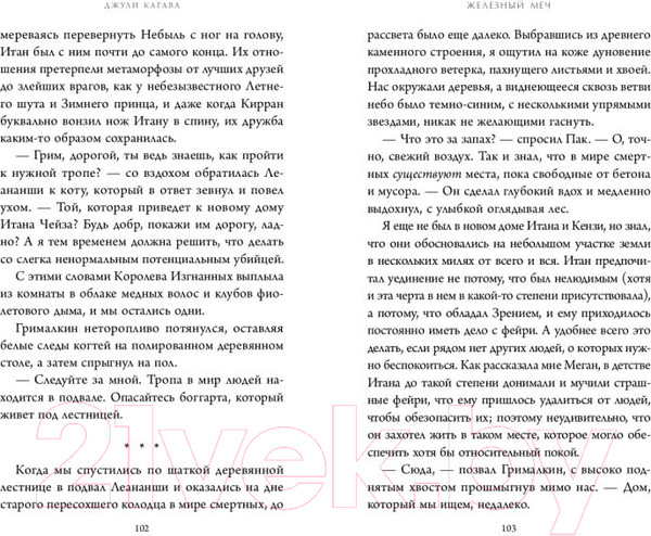 Изображение товара Книга Эксмо Железный меч / 9785041797669 (Кагава Д.)