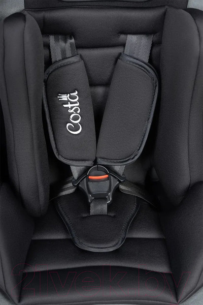Изображение товара Автокресло Costa HC-01 (черный/серый)