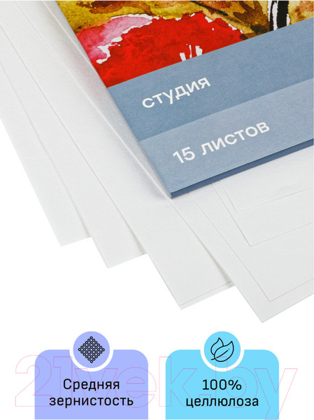 Изображение товара Набор бумаги для рисования ГАММА Студия / 30C03F715W (15л)